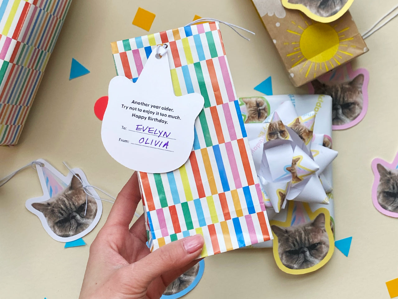 Resting Cat Face Birthday Gift Tags (Set of 8)