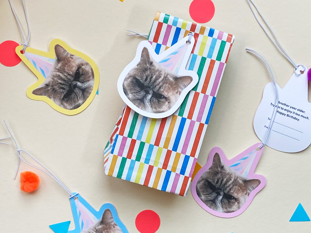 Resting Cat Face Birthday Gift Tags (Set of 8)