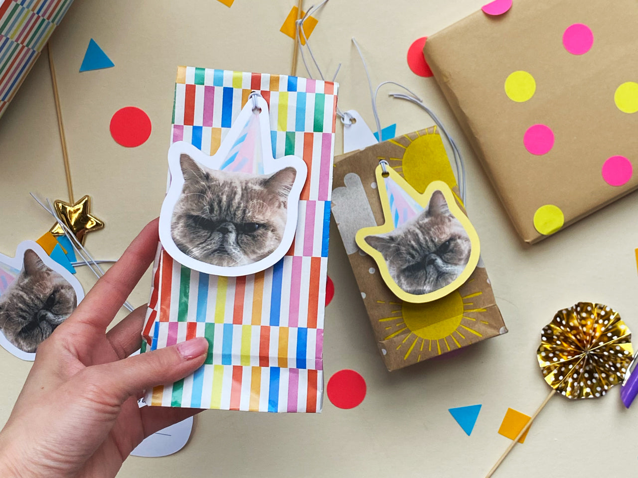 Resting Cat Face Birthday Gift Tags (Set of 8)