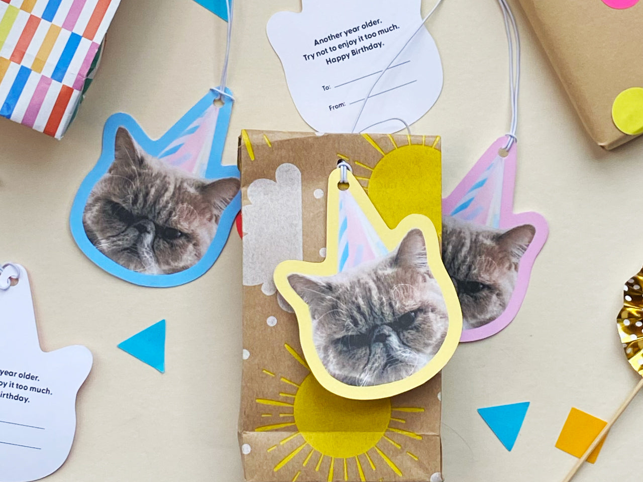 Resting Cat Face Birthday Gift Tags (Set of 8)