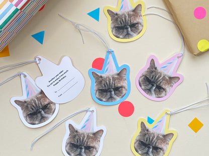 Resting Cat Face Birthday Gift Tags (Set of 8)